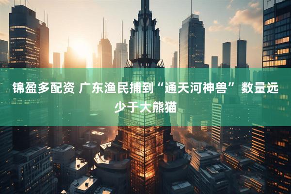 锦盈多配资 广东渔民捕到“通天河神兽” 数量远少于大熊猫