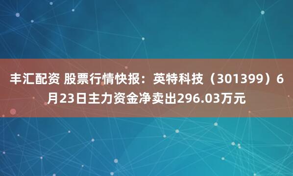 丰汇配资 股票行情快报：英特科技（301399）6月23日主力资金净卖出296.03万元